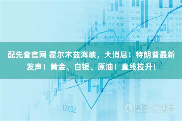 配先查官网 霍尔木兹海峡，大消息！特朗普最新发声！黄金、白银、原油！直线拉升！